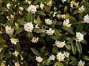 %_tempFileName07-20100313-0308%