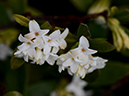 %_tempFileName09-20120331-0329%