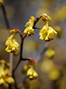%_tempFileName04-20090307-0320%