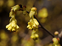 %_tempFileName05-20090307-0322%
