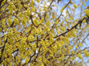 %_tempFileName07-20090329-0326%