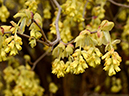 %_tempFileName09-20130323-0221%