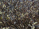 %_tempFileName08-20070304-0511%