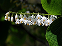 %_tempFileName01-20080506-0281%