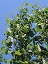 %_tempFileName02-20080506-0282%