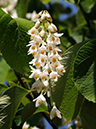 %_tempFileName04-20080506-0284%