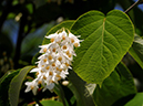 %_tempFileName05-20080506-0285%