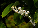 %_tempFileName09-20090506-0284%