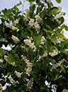 %_tempFileName10-20090506-0285%