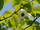 %_tempFileName01-20110505-0867%