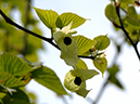 %_tempFileName02-20070428-0292%