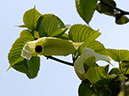 %_tempFileName03-20070428-0294%