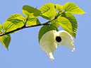 %_tempFileName04-20110505-0870%