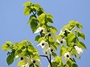 %_tempFileName06-20110505-0872%