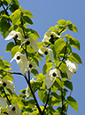 %_tempFileName07-20110505-0873%