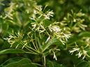 %_tempFileName04-20100509-0371%