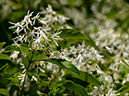 %_tempFileName10-20150505-0290%