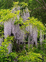 %_tempFileName02-20100509-0327%