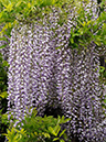 %_tempFileName03-20100509-0328%