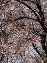 %_tempFileName03-20160320-0231%