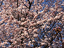 %_tempFileName05-20160327-0016%
