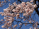 %_tempFileName10-20200315-0249%