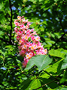 %_tempFileName02-20080506-0248%
