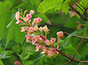 %_tempFileName05-20100509-0351%