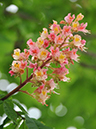 %_tempFileName07-20100509-0354%