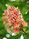 %_tempFileName08-20100509-0355%