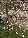 %_tempFileName01-20050410-0352%