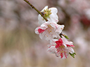 %_tempFileName02-20050410-0354%