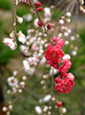 %_tempFileName03-20070408-0388%