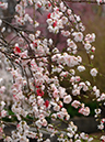%_tempFileName04-20070408-0389%