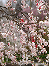 %_tempFileName05-20070408-0390%