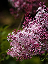 %_tempFileName01-20110505-0827%