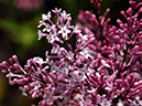 %_tempFileName02-20110505-0828%