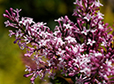 %_tempFileName03-20110505-0829%