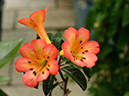 %_tempFileName01-20150329-0110%