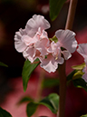 %_tempFileName01-20140506-0177%