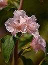 %_tempFileName02-20140506-0178%