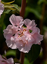 %_tempFileName03-20140506-0179%