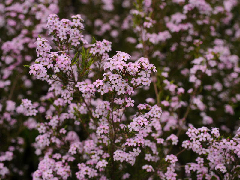 %_tempFileName04-20090503-0062%
