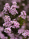 %_tempFileName01-20090503-0063%