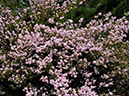%_tempFileName07-20100509-0282%