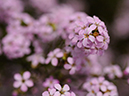 %_tempFileName08-20100509-0283%