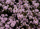 %_tempFileName09-20100509-0284%