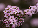 %_tempFileName10-20100509-0346%