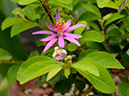 %_tempFileName02-20130615-0145%