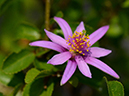 %_tempFileName06-20140702-0238%